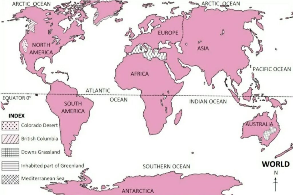 Image 19-02-26 at 12.51 PM