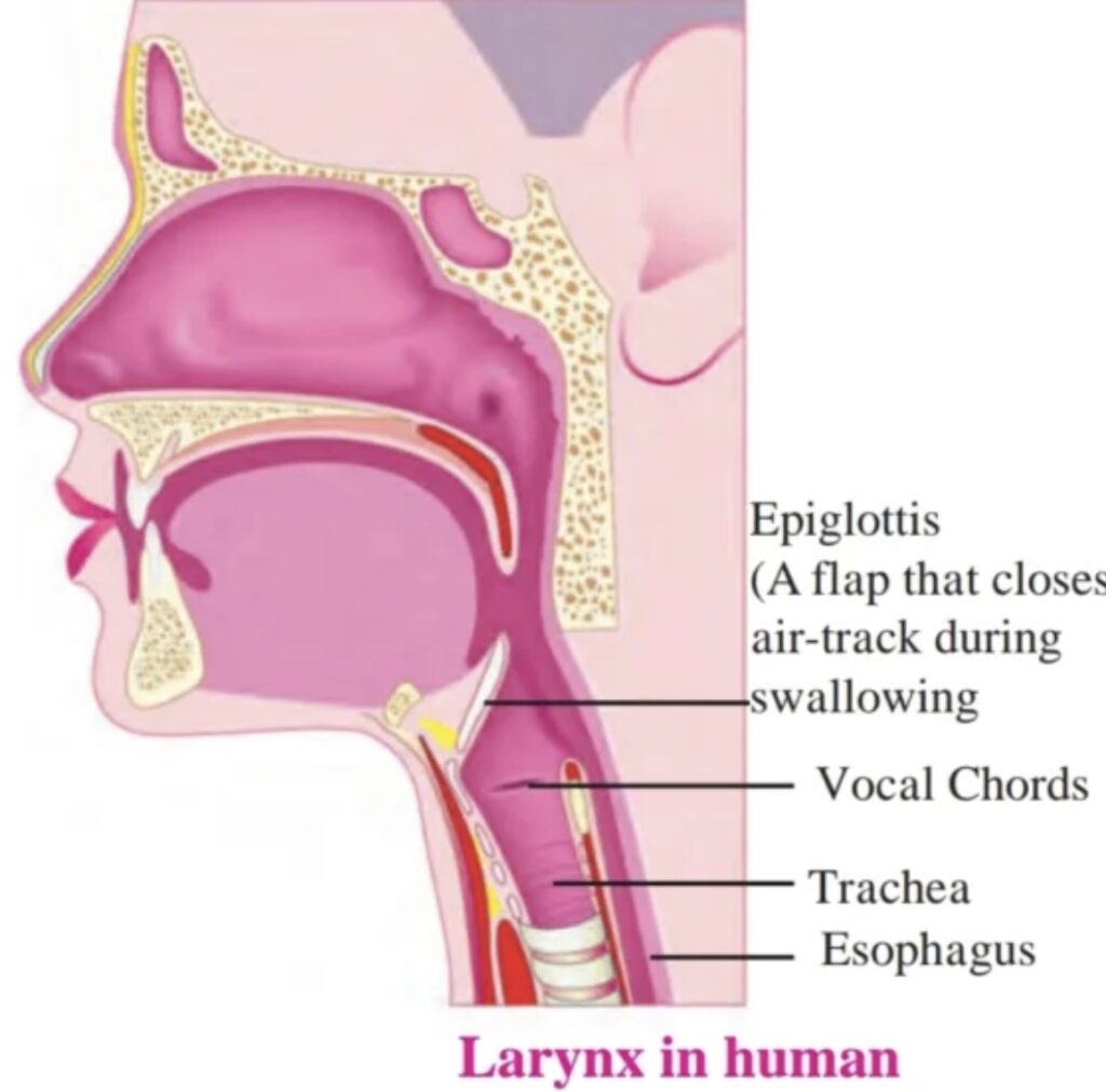 Image 20-02-26 at 12.16 PM