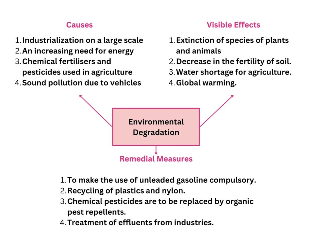 Image 25-02-26 at 10.46 AM
