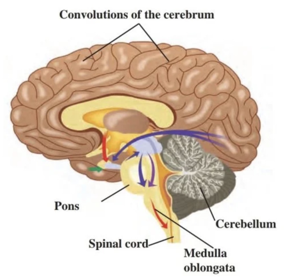Image 01-03-26 at 1.23 PM (1)