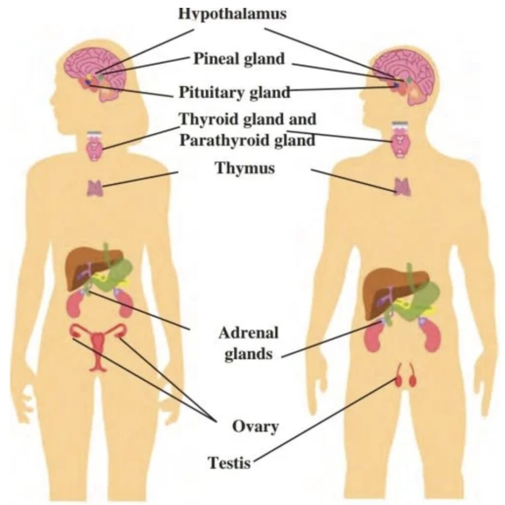 Image 01-03-26 at 1.23 PM