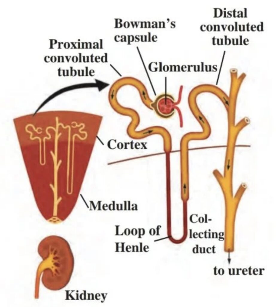 Image 01-03-26 at 1.23 PM (2)