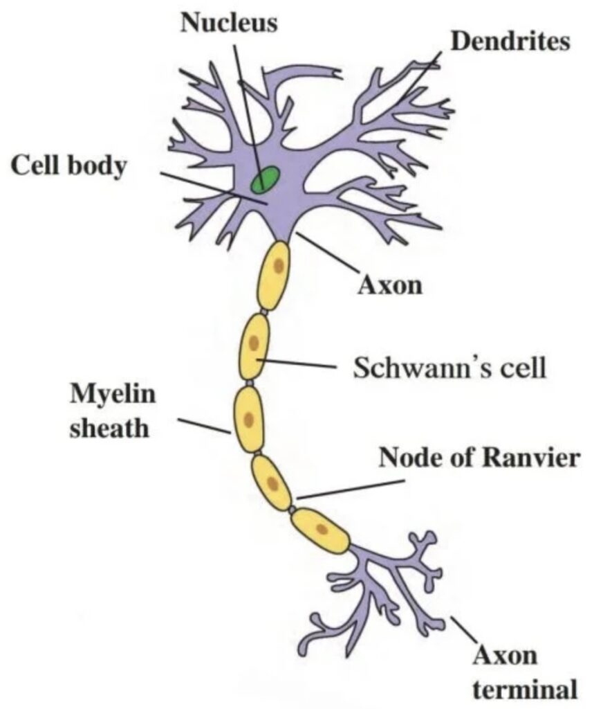 Image 01-03-26 at 1.23 PM (3)