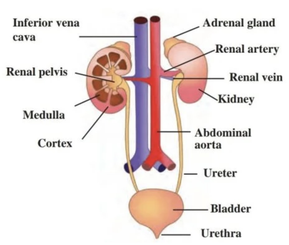 Image 01-03-26 at 1.24 PM
